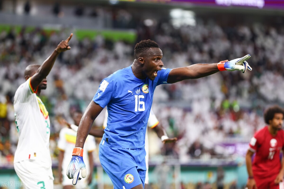 星空体育-非洲男子篮球冠军塞内加尔揭幕战大胜