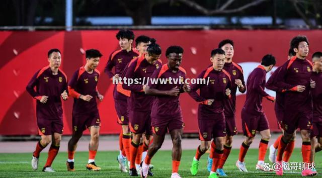 白俄罗斯客场负于对手,小组形势不容乐观 白俄罗斯客场负于对手,小组形势不容乐观