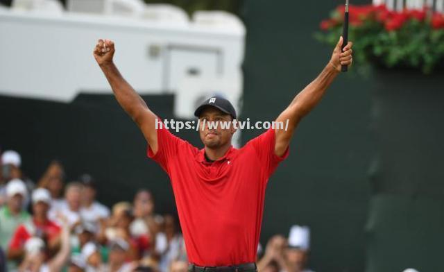 瑞士队暗度陈仓,意欲斩获欧洲锦标赛胜利 瑞士队暗度陈仓,意欲斩获欧洲锦标赛胜利