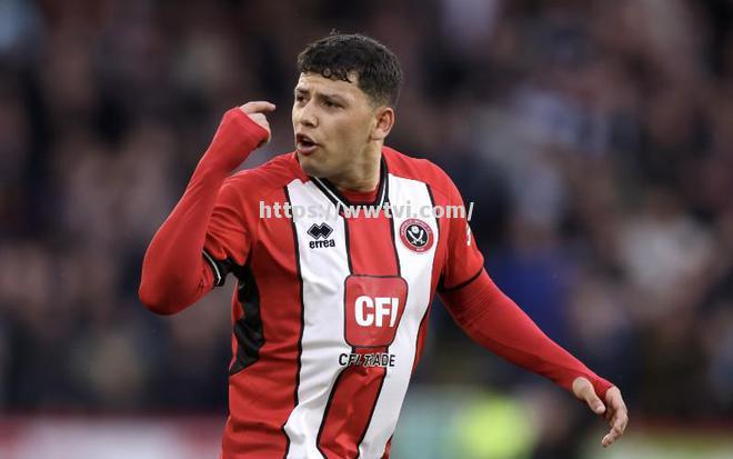 谢菲联主场小胜热刺,延续强势表现 谢菲联主场小胜热刺,延续强势表现