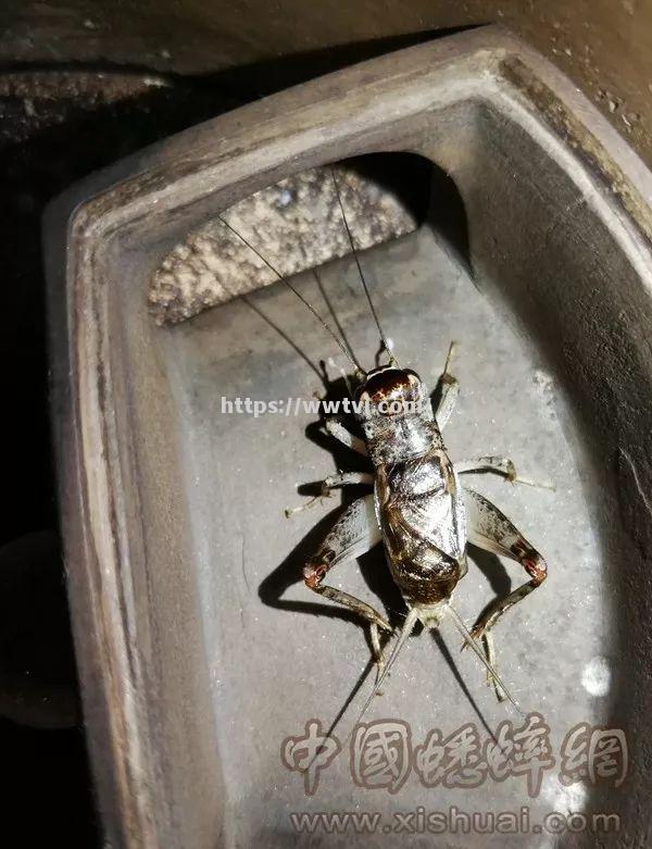 热门选手饮水思源,喜获好运连连夺冠 热门选手饮水思源,喜获好运连连夺冠