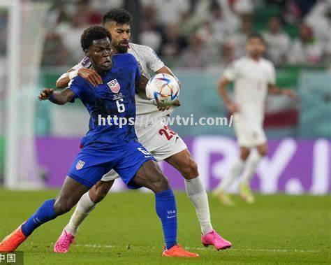 芬兰足球队成功晋级欧洲杯半决赛,表现不凡 芬兰足球队成功晋级欧洲杯半决赛,表现不凡