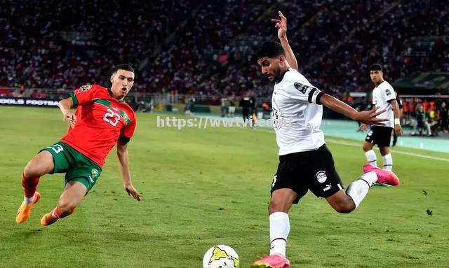 埃及选手奋勇夺冠,实力备受瞩目 埃及选手奋勇夺冠,实力备受瞩目