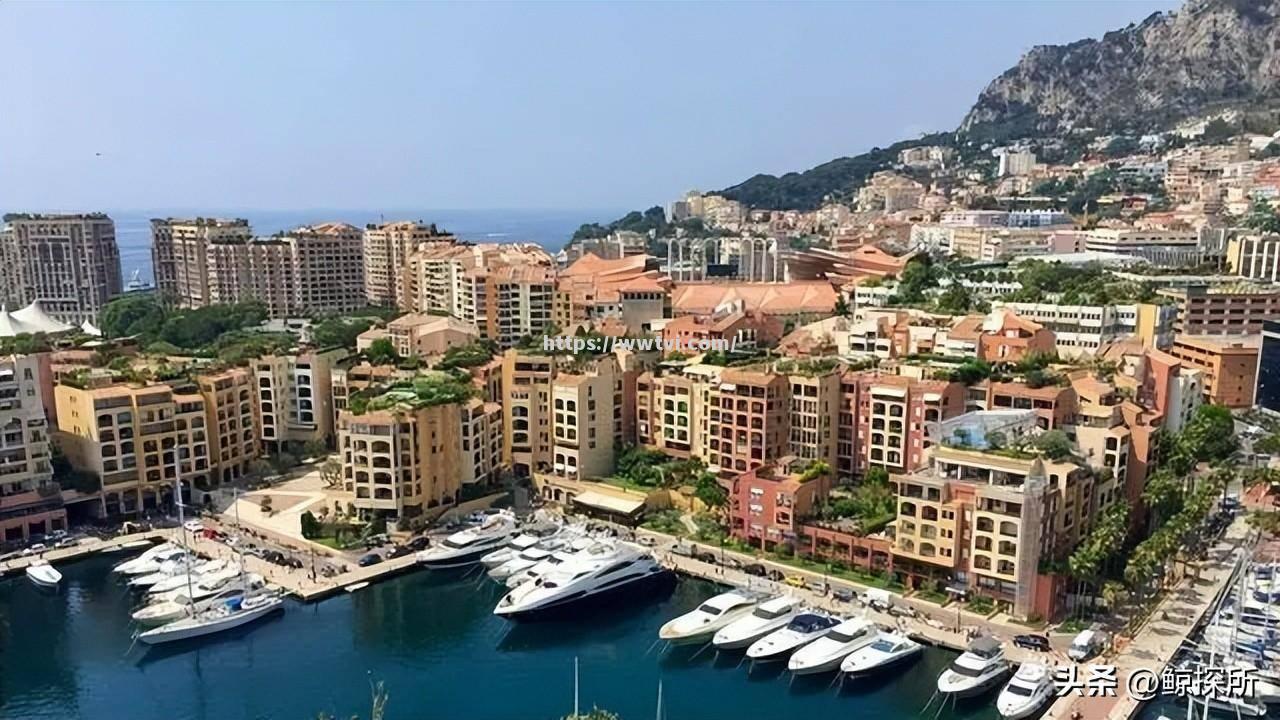 卡塔尔球队主教练布局精明 卡塔尔球队主教练布局精明