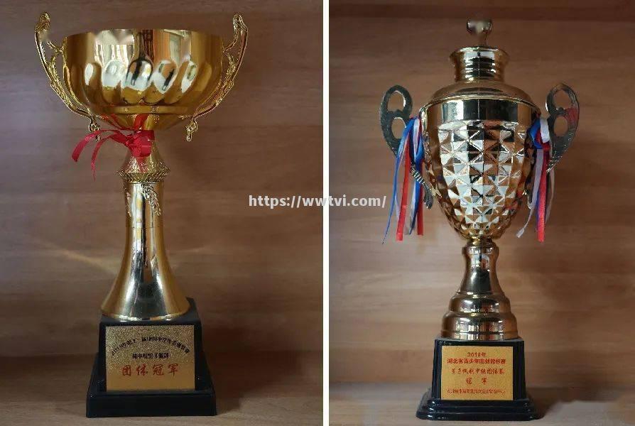 克罗地亚击剑冠军飒爽英姿,霸气登顶 克罗地亚击剑冠军飒爽英姿,霸气登顶