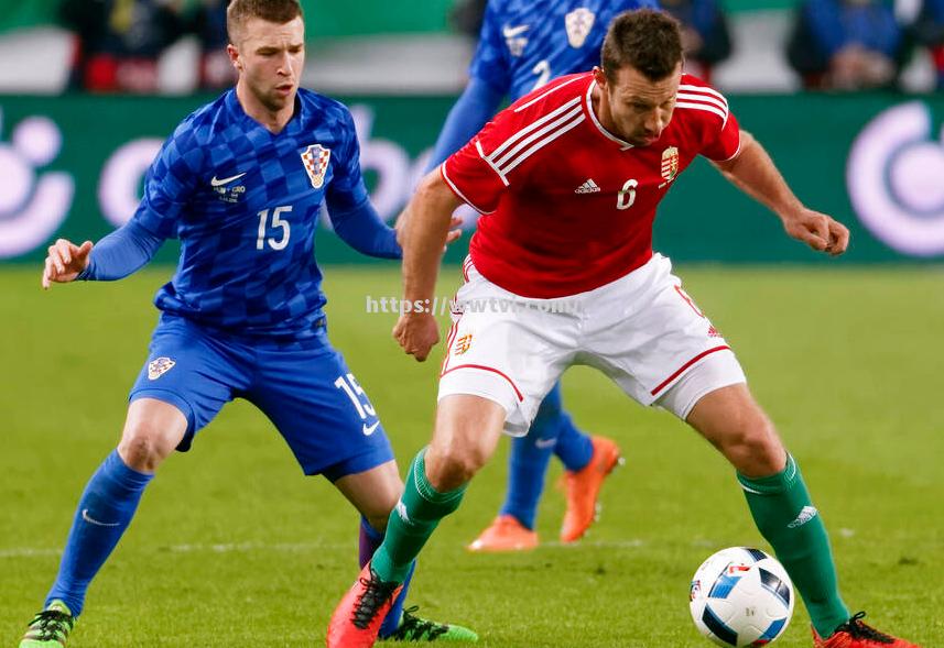 摩尔多瓦客场不敌法国,遭遇困难 摩尔多瓦客场不敌法国,遭遇困难