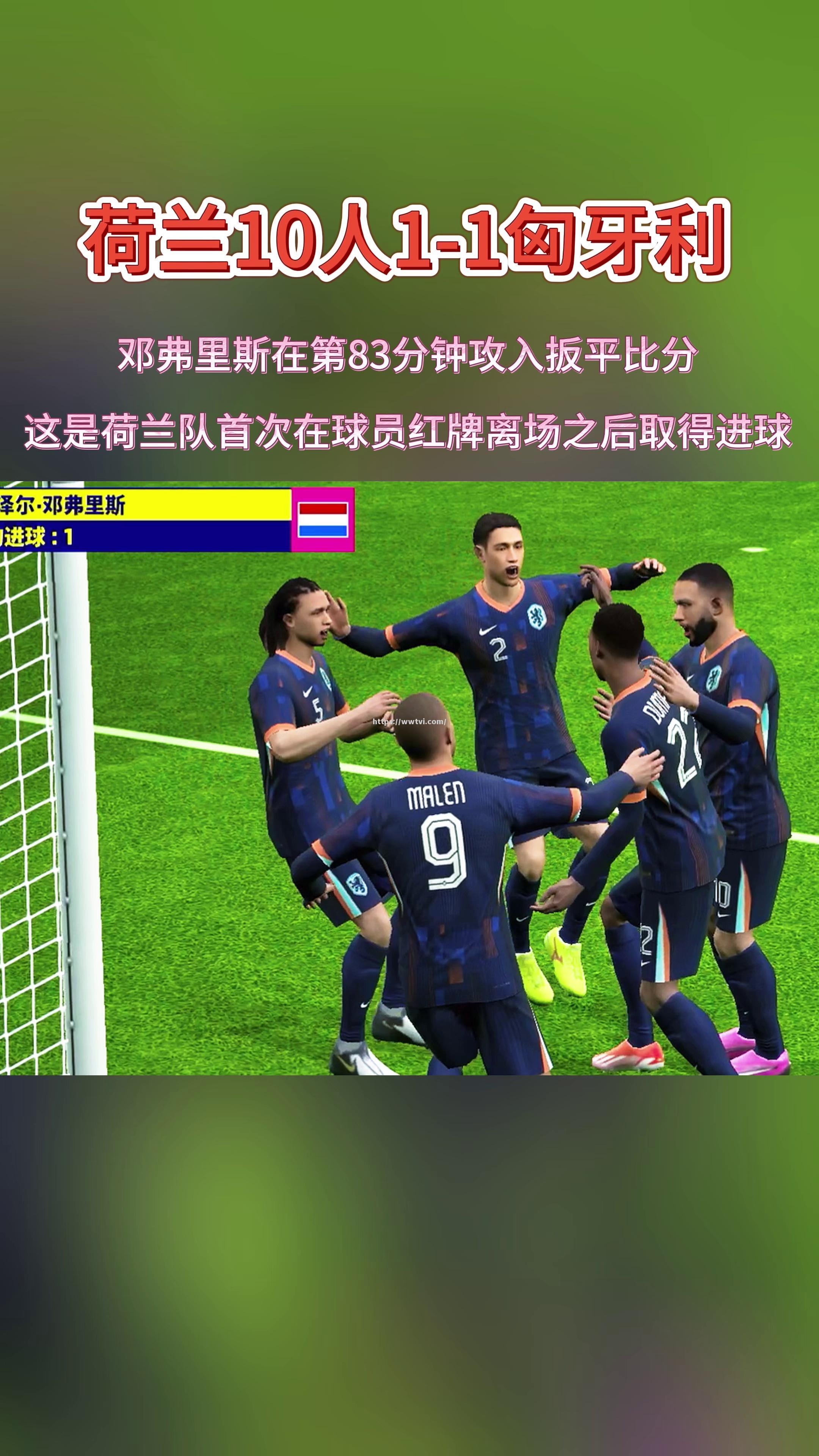 荷兰队球员共同庆祝进球 荷兰队球员共同庆祝进球
