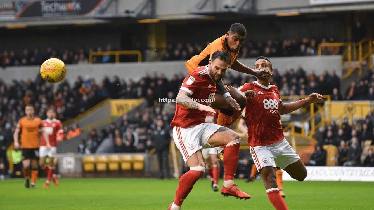 森林狼队备战情绪高涨,力争取得好成绩 森林狼队备战情绪高涨,力争取得好成绩