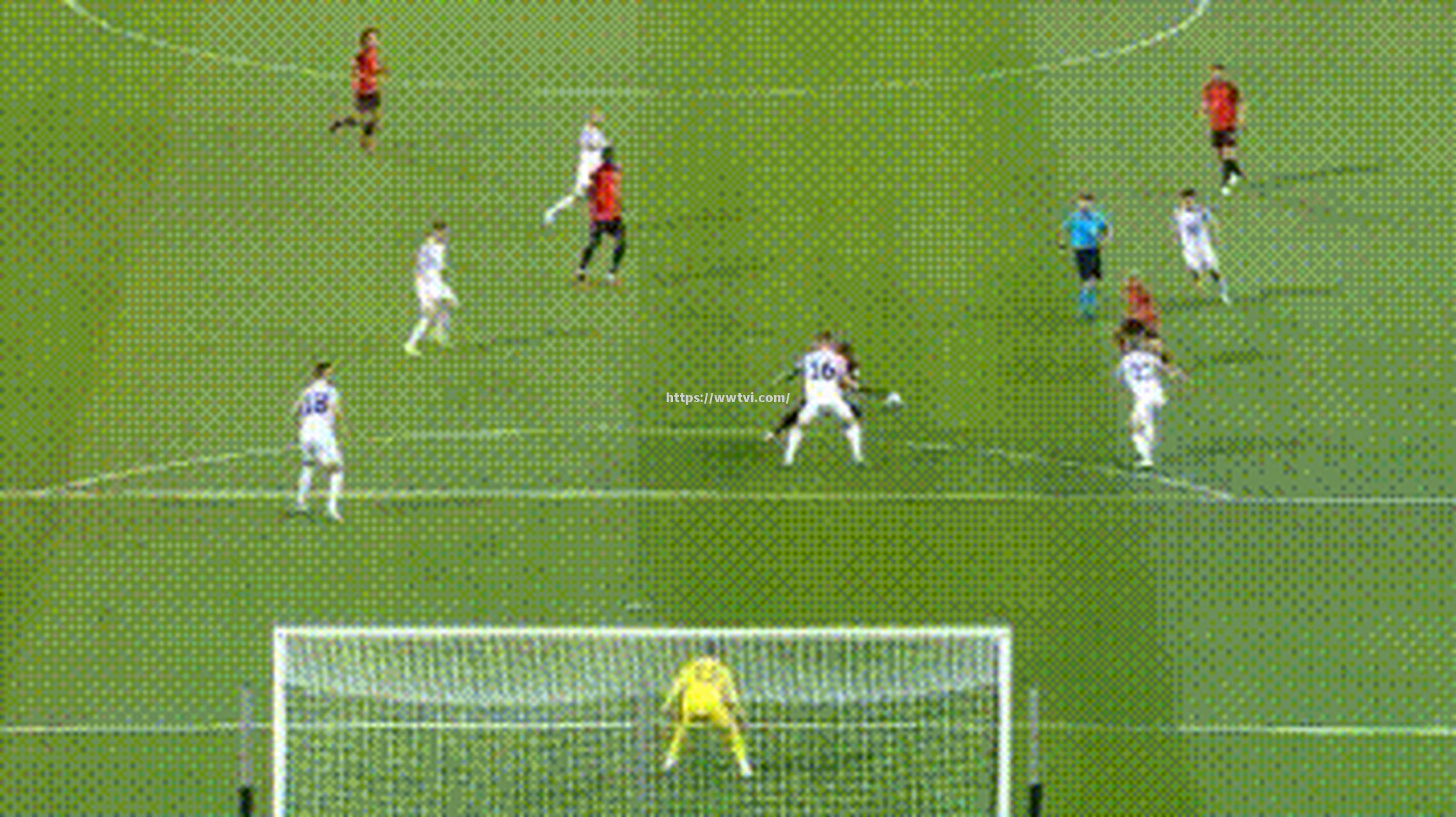 爱沙尼亚队员在比赛中贡献关键助攻 爱沙尼亚队员在比赛中贡献关键助攻