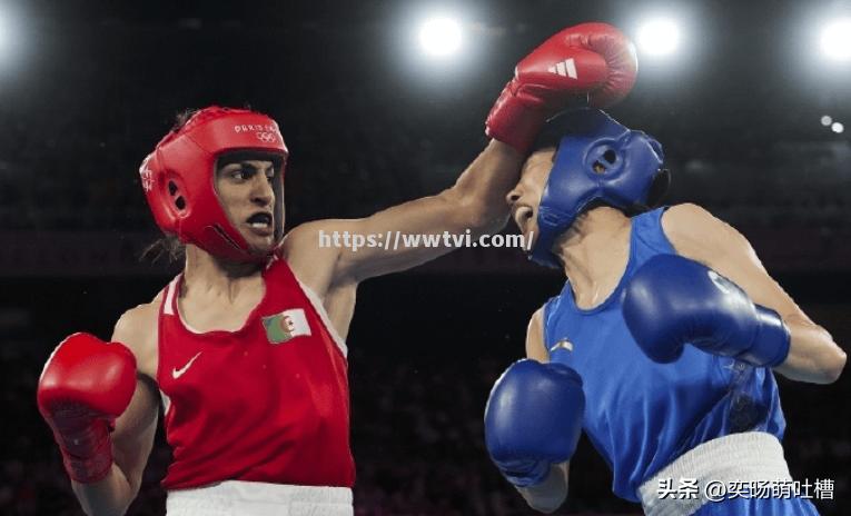 惊险比拼!拳击比赛场面火爆 惊险比拼!拳击比赛场面火爆
