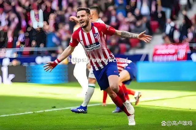 诺尔维奇引进法国中场新秀,提升球队实力 诺尔维奇引进法国中场新秀,提升球队实力